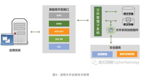 一文读懂十大数据存储加密技术